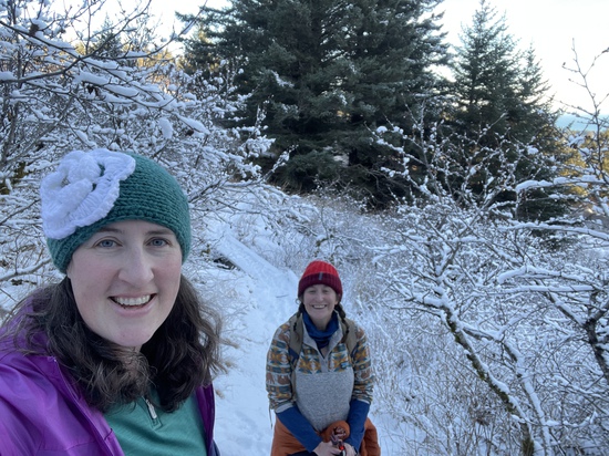 View photos in new tab