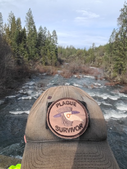 View photos in new tab