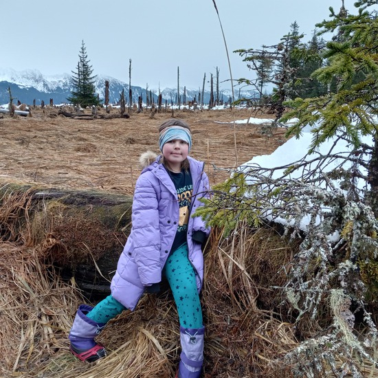 View photos in new tab