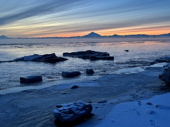 View photos in new tab