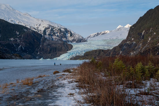 View photos in new tab