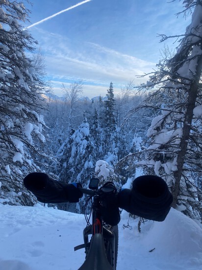 View photos in new tab