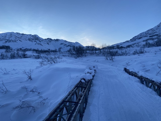 View photos in new tab