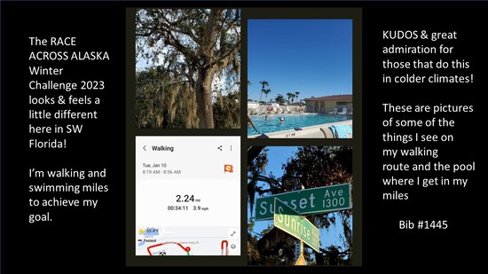 View photos in new tab