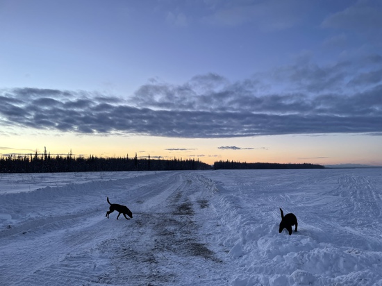 View photos in new tab