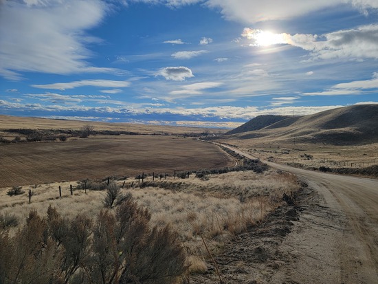 View photos in new tab