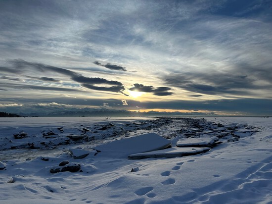 View photos in new tab