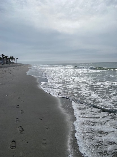 View photos in new tab