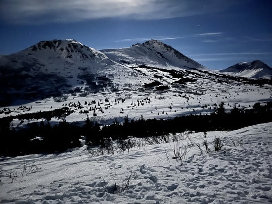 View photos in new tab