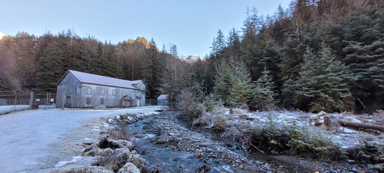 View photos in new tab