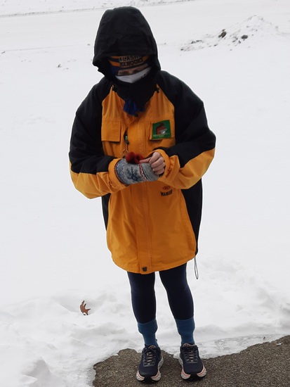 View photos in new tab