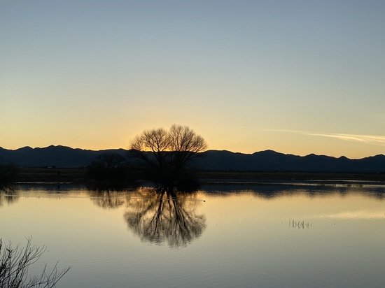 View photos in new tab