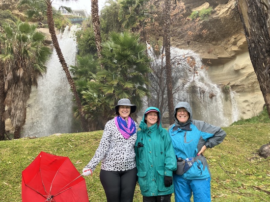 View photos in new tab