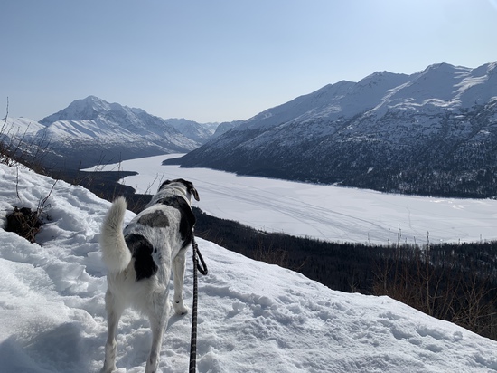 View photos in new tab