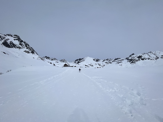 View photos in new tab