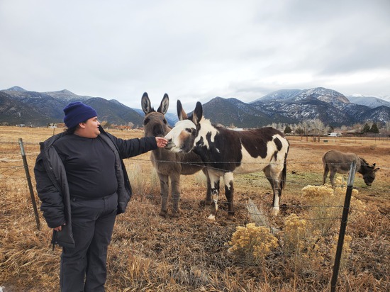 View photos in new tab