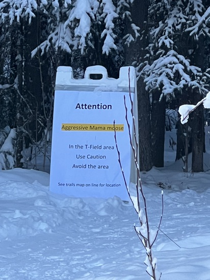 View photos in new tab