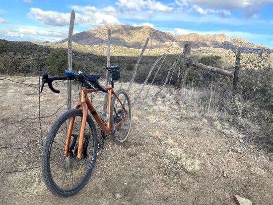 View photos in new tab