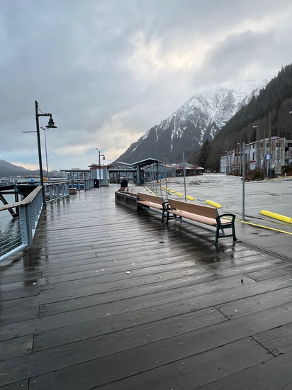 View photos in new tab