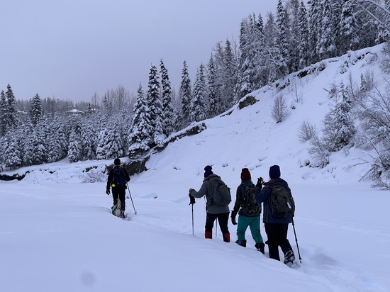 View photos in new tab