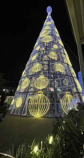 View photos in new tab