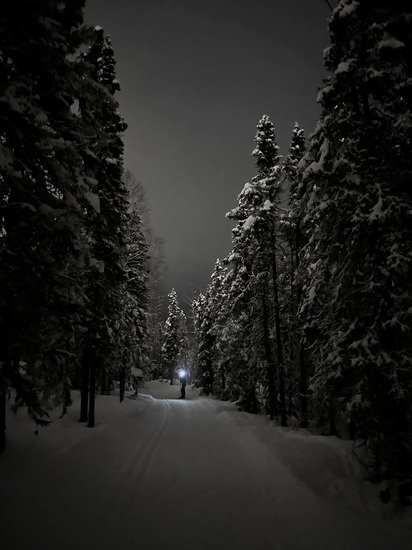 View photos in new tab