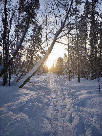 View photos in new tab