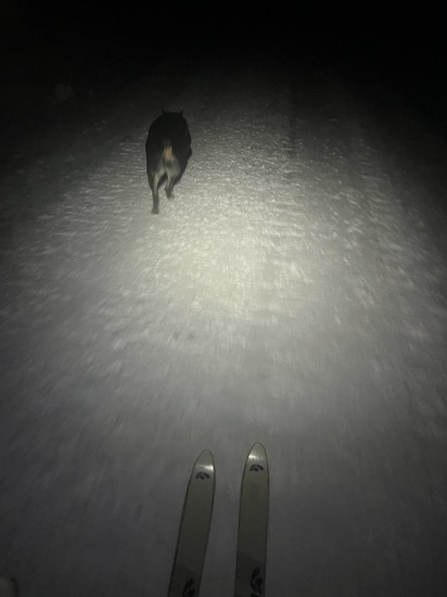 View photos in new tab