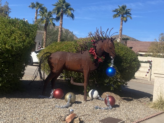 View photos in new tab