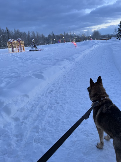 View photos in new tab