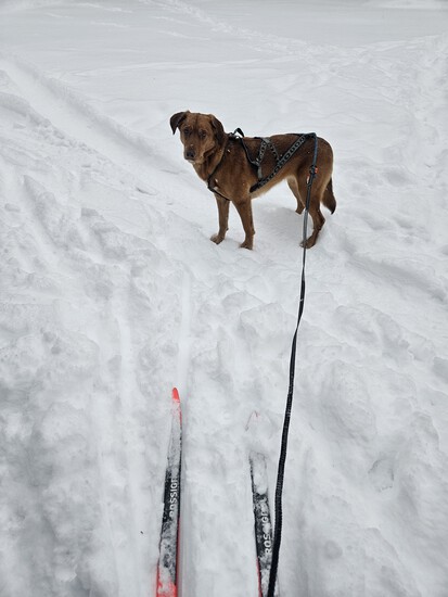 View photos in new tab