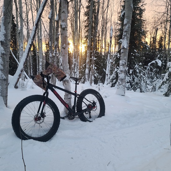 View photos in new tab