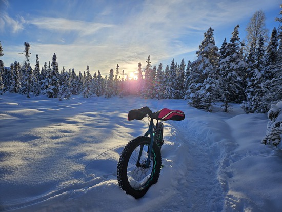 View photos in new tab