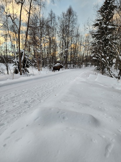 View photos in new tab