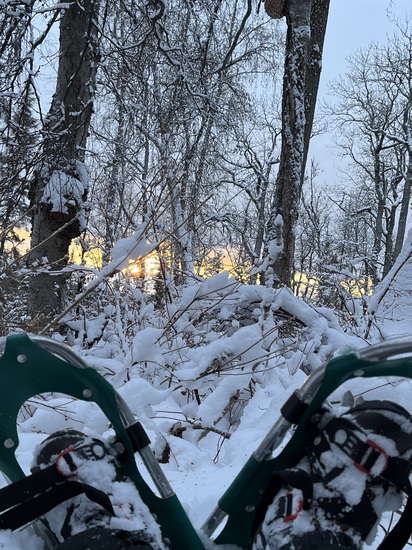 View photos in new tab