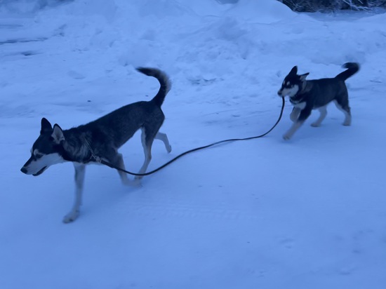 View photos in new tab