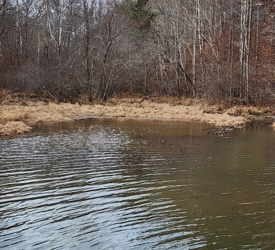 View photos in new tab