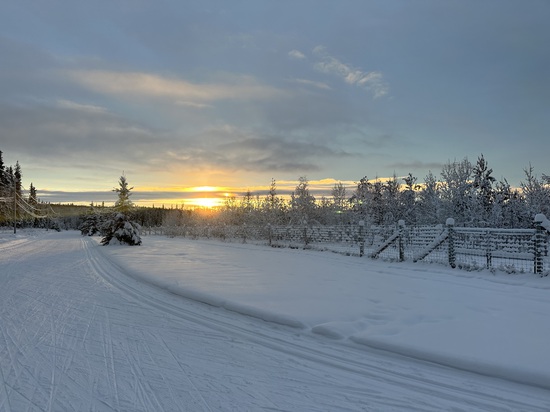 View photos in new tab