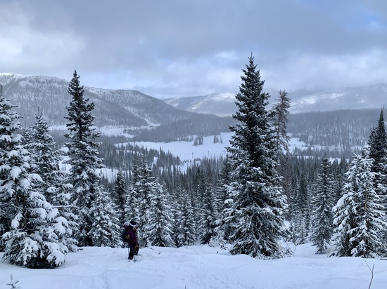 View photos in new tab