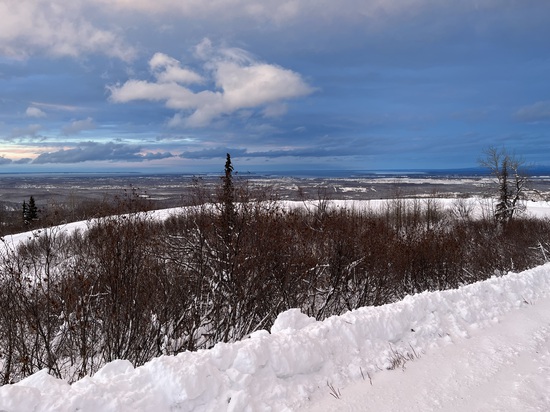 View photos in new tab