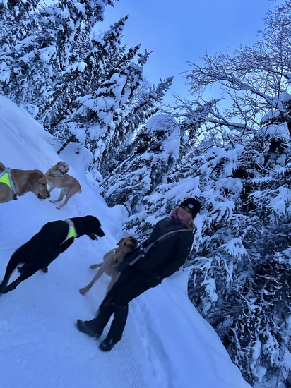 View photos in new tab