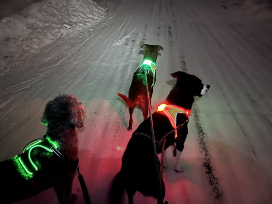 View photos in new tab