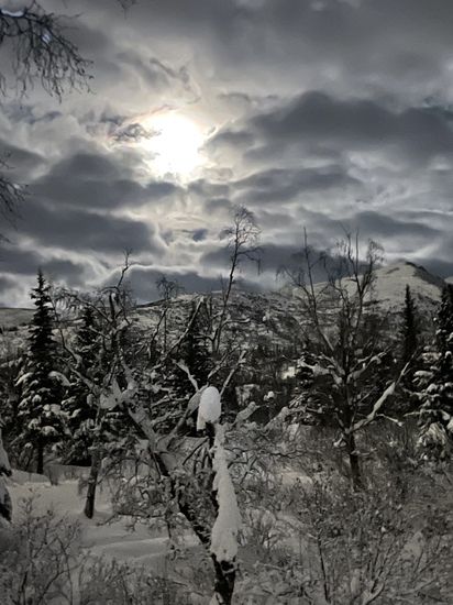 View photos in new tab