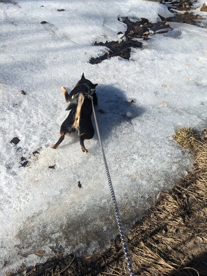 View photos in new tab