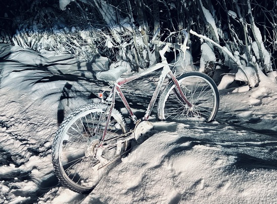 View photos in new tab