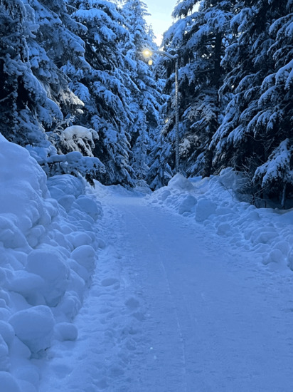 View photos in new tab