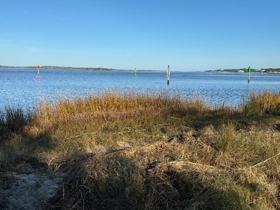 View photos in new tab