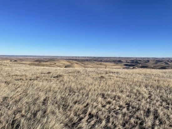 View photos in new tab