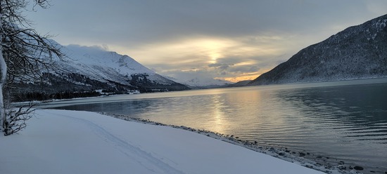 View photos in new tab