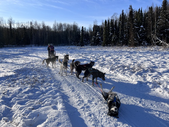 View photos in new tab